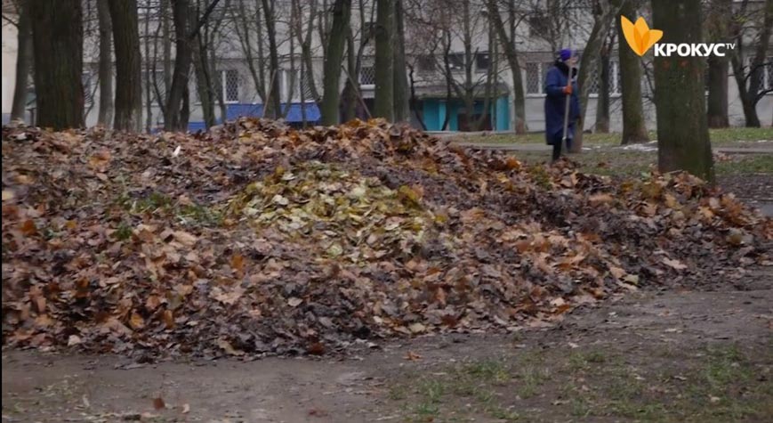 Мешканці масиву Леваневського скаржаться на сморід від спалювання листя