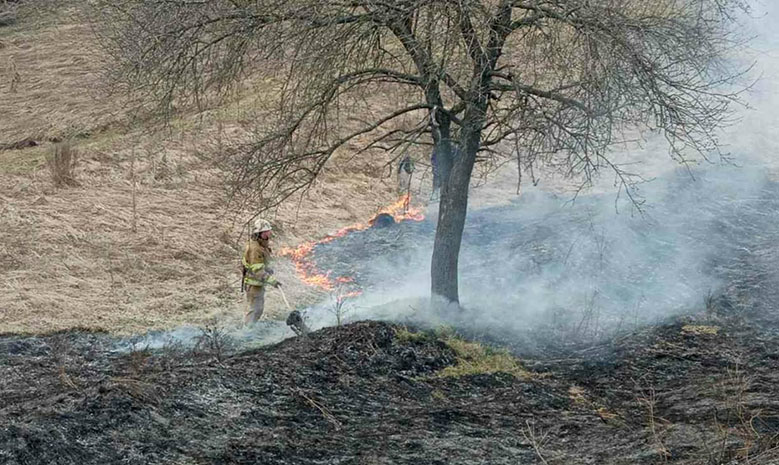 На Білоцерківщині під час спалювання трави загинула літня жінка