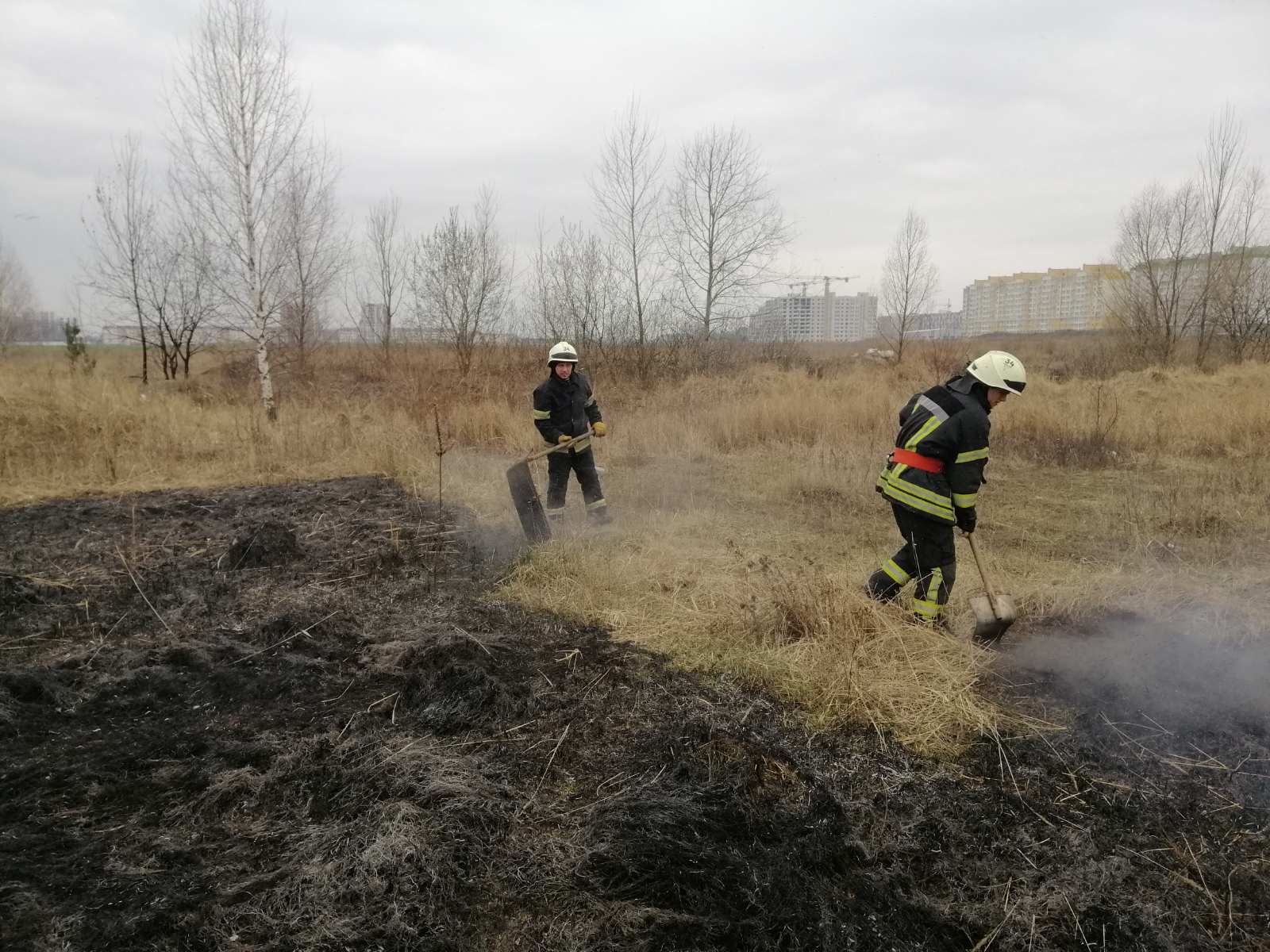 На Білоцерківщині під час спалювання трави загинула літня жінка
